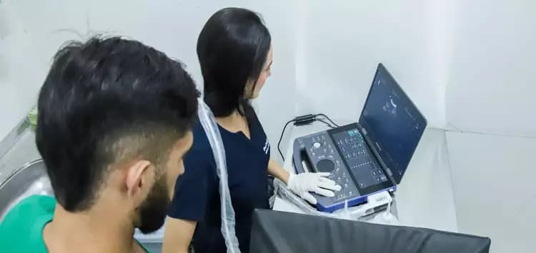 Hospital Público Veterinário de Natal amplia atendimentos e registra crescimento nos serviços