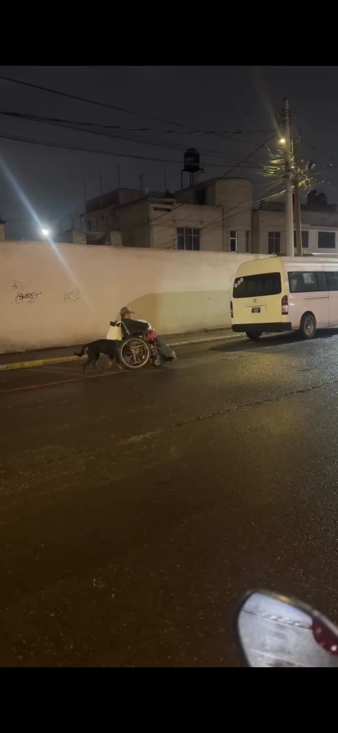 (Vídeo)Cão emociona ao demonstrar amor e ajudar seu tutor cadeirante