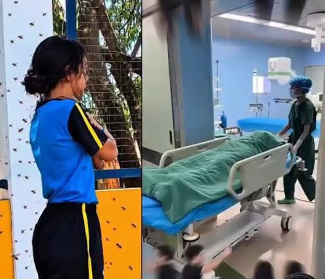 [VÍDEO]Menina atacada por abelhas agradece a Deus após ser salva: “Muita gratidão por Deus ter enviado um anjo"