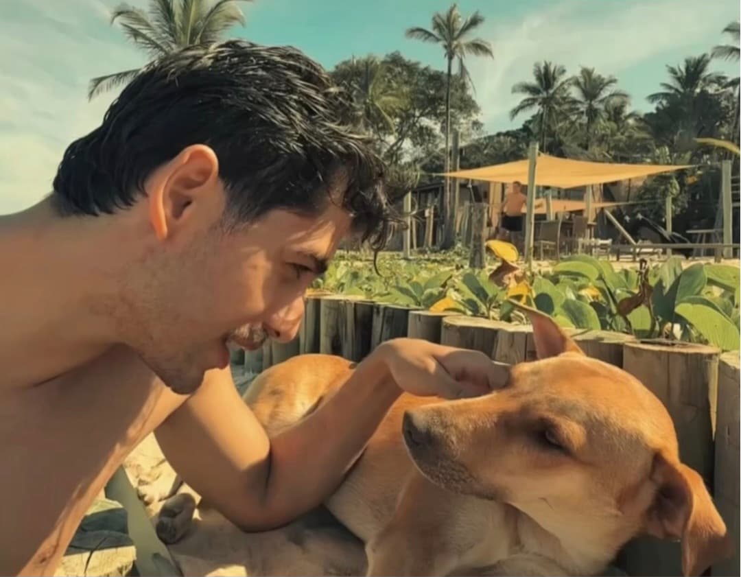 [VÍDEO]Casal do RJ se apaixona por vira-lata caramelo durante lua de mel na Bahia e o leva para casa ❤️🐶