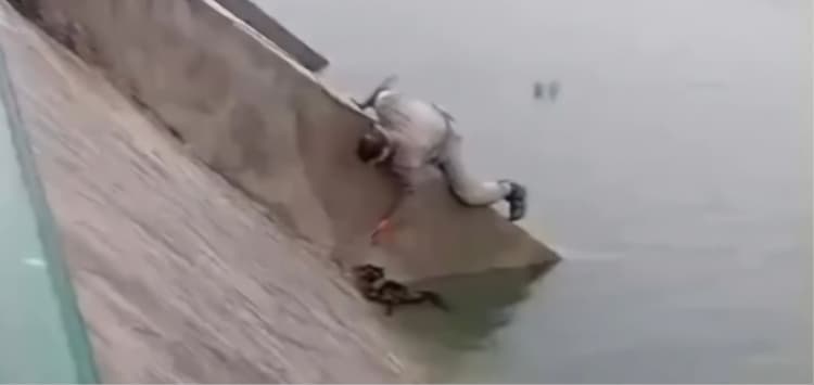(Vídeo)Cão é resgatado por policiais militares após ficar preso em lagoa de captação na Zona Norte de Natal