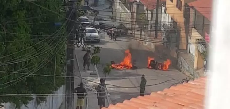 Operação da PRF recolhe 23 cavalos abandonados em rodovias do Recife e Zona  da Mata — Polícia Rodoviária Federal